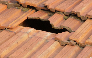 roof repair Ladywood