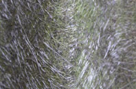 Ladywood fibreglass roof work